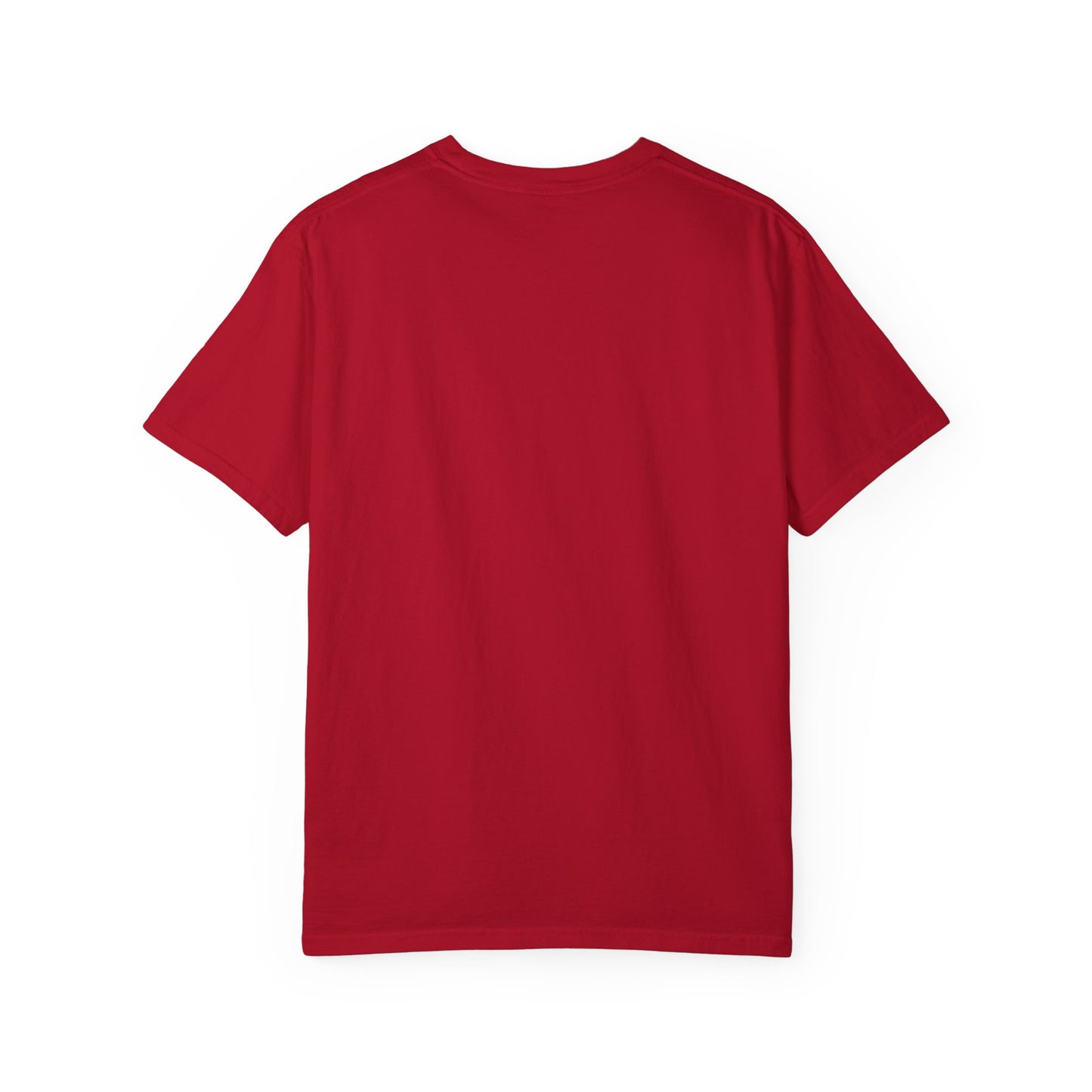JUST DRIP Male/Female Garment-Dyed T-shirt